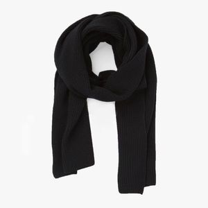 Everlane 100% Wool chunky knit long scarf